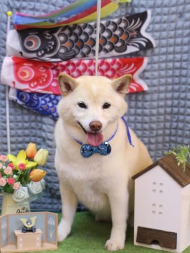 20230525メイちゃん